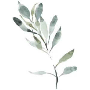 Watercolor Leaf, Olive Branch 4