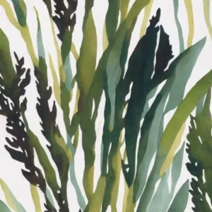Acropora Sarmentosa Vintage Graphic Watercolour