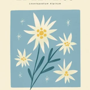 Vintage Blue And White Edelweiss Flower Of Switzerland