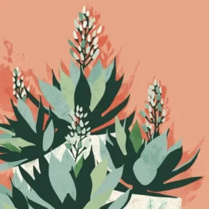 Succulents Plant Minimalist Illustration 8