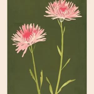 Pink & Green Chrysanthemum 3 Flower Poster