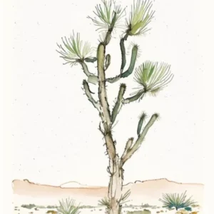 Joshua Tree In Desert Minimilist Watercolour (3)