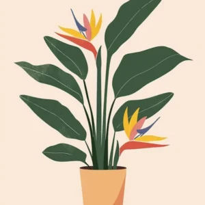 Bird Of Paradise Plant Minimalist Illustration 7