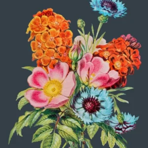 Vintage Flowers Floral Illustration Grey
