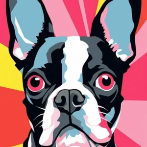 Bright Pop Art Boston Terrier 1