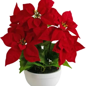 Die Kunstpflanze Weihnachtsstern 44 cm rot ist ein weißer Topf mit einer Weihnachtssternpflanze mit leuchtend roten, sternförmigen Blättern und grünem Blattwerk vor einem schlichten weißen Hintergrund.