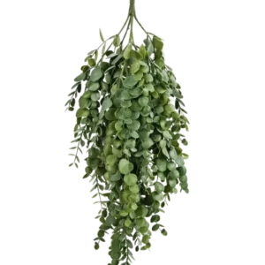Die künstliche Hängepflanze Eukalyptus 76 cm hat dichte, kaskadierende künstliche Eukalyptusblätter mit runder und ovaler Form, perfekt, um jedem Raum mehr Grün zu verleihen.