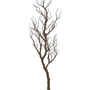 Der Art Decorative Branch 118 cm ist ein hoher, blattloser Dekozweig mit vielen dünnen, gedrehten Stielen, die nach oben ragen und vor einem schlichten weißen Hintergrund präsentiert werden.