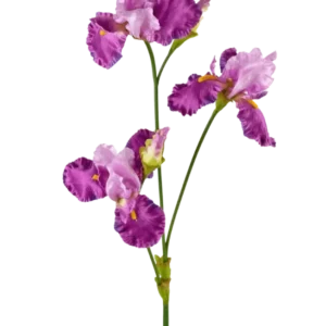 Die künstliche Blume Iris 102 cm lila hat einen langen grünen Stiel, der mit mehreren leuchtend lila und weißen Irisblüten verziert ist, jeweils mit Rüschen auf den Blütenblättern und gelben Akzenten, vor einem schlichten weißen Hintergrund.