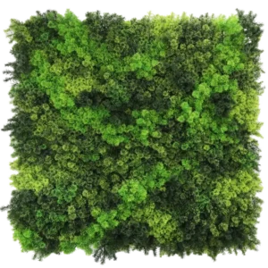 Die künstliche Hecke Fairyland Moss 100x100 cm UV ist eine quadratische Platte mit dichtem, leuchtend grünem Moos in verschiedenen Farbtönen, die für einen strukturierten, natürlichen Look sorgt, der perfekt vor einem weißen Hintergrund aussieht.