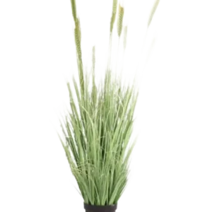 Die feuerhemmende Kunstrasenpflanze Grün 160 cm hat lange, schlanke Halme und Samenköpfe in einem kleinen schwarzen Topf. Ideal als stilvolle, feuerhemmende Kunstpflanze für jeden Raum.