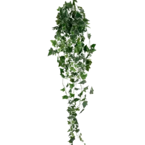 Der künstliche Efeu 130 cm grün/weiß ist eine hängende künstliche Efeupflanze mit langen, nachhängenden grünen Blättern und weißen Rändern, dargestellt vor einem schlichten weißen Hintergrund.