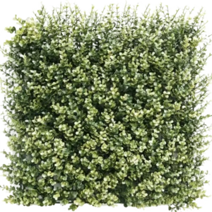 Künstliche Hecke Buchsbaum beige 50x50 cm UV: Dichtes quadratisches Panel aus künstlichem Grün mit kleinen grünen und beigen Blättern, das einer dicken Hecke oder Gartenmauer vor einem schlichten weißen Hintergrund ähnelt.