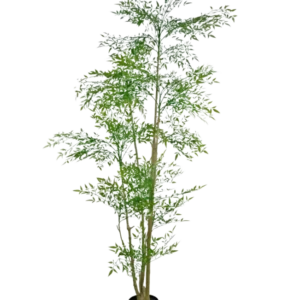 Der künstliche Ruscus 210 cm ist eine hohe Kunstpflanze mit schlanken grünen Blättern und mehreren dünnen, braunen Stielen in einem kleinen schwarzen Topf vor einem schlichten weißen Hintergrund.