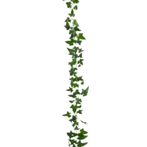 Die künstliche Hängepflanze Ivy Boston Garland 180 cm grün hat eine lange grüne Efeuranke mit mehreren Blättern, die vertikal vor einem schlichten weißen Hintergrund hängt.