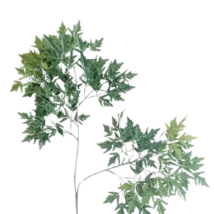Das künstliche Blatt Ming Aralia 50 cm grün feuerhemmend ist eine hohe, schlanke Kunstpflanze mit dünnen Stielen und Büscheln grüner Blätter mit gezackten Rändern vor einem schlichten weißen Hintergrund.