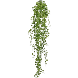 Die künstliche Hängepflanze Pumila 100 cm hat eine lange, gewundene Ranke mit kleinen, runden grünen Blättern, die an einem einzigen Stiel hängen, vor einem schlichten weißen Hintergrund.