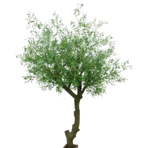 Der künstliche Olivenbaum mit Oliven 270 cm hat einen gedrehten Stamm und dichte grüne Blätter und steht in einem kleinen quadratischen braunen Topf vor einem weißen Hintergrund.
