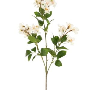 Die künstliche Blume Lagerstroemia 92 cm weiß hat einen hohen Stiel mit Büscheln kleiner weißer Blüten und grüner Blätter, perfekt, um jedem Raum dauerhafte Schönheit zu verleihen. Ideal als auffällige Kunstpflanze vor einem schlichten weißen Hintergrund.