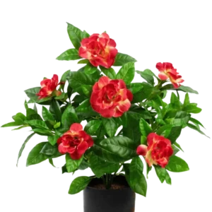 Künstliche Pflanze Gardenia 39 cm fuchsia