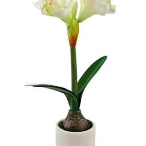 Die künstliche Blume Amaryllis Real Touch weiß 48 cm hat eine lebensechte weiße Amaryllisblüte mit grünen Blättern und sichtbarer Zwiebel in einem kleinen weißen Topf, perfekt, um jedem Raum Eleganz zu verleihen.