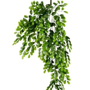Die künstliche Hängepflanze Pumila 86 cm ist ein realistischer künstlicher Zweig mit mehreren Stielen aus kleinen, hellgrünen ovalen Blättern, die üppig und kaskadierend auf einem schlichten weißen Hintergrund erscheinen.