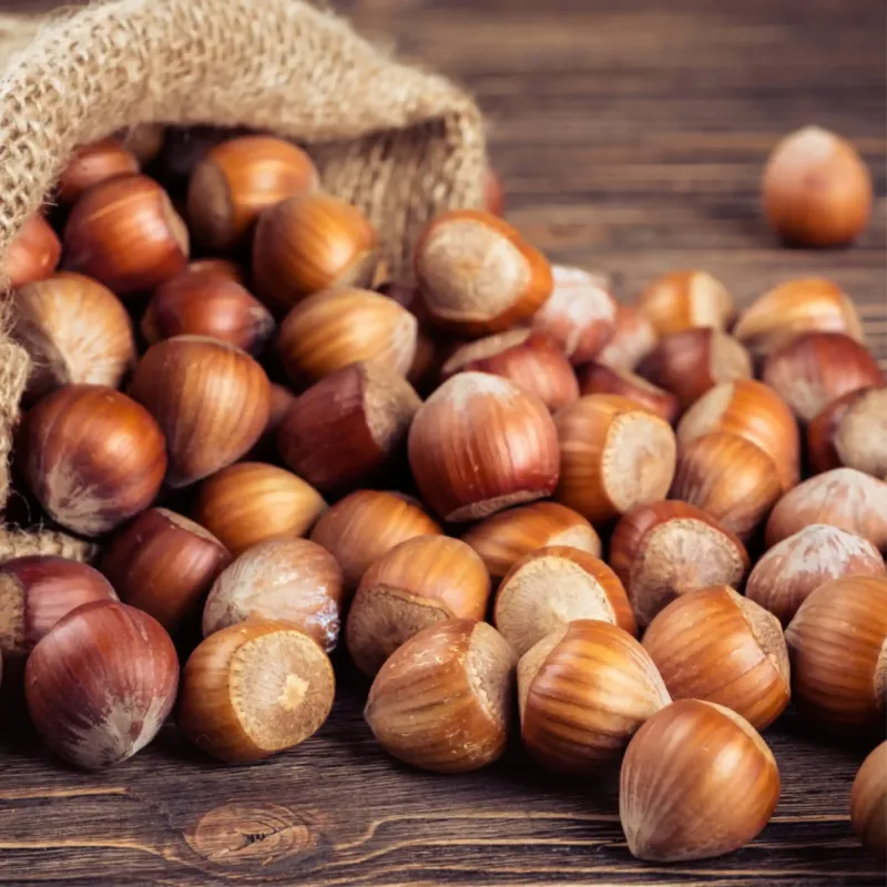 Éclat de noisettes Boost parfum gourmand de Grasse pour bougies fondants et diffuseurs