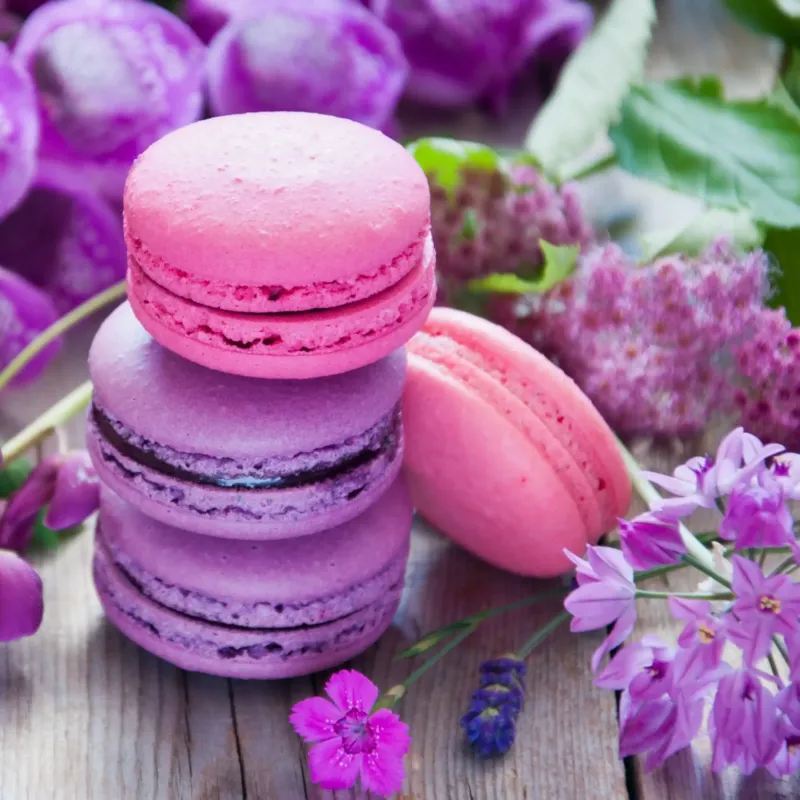 Macaron framboise et violette parfum gourmand de Grasse pour bougies fondants et diffuseurs
