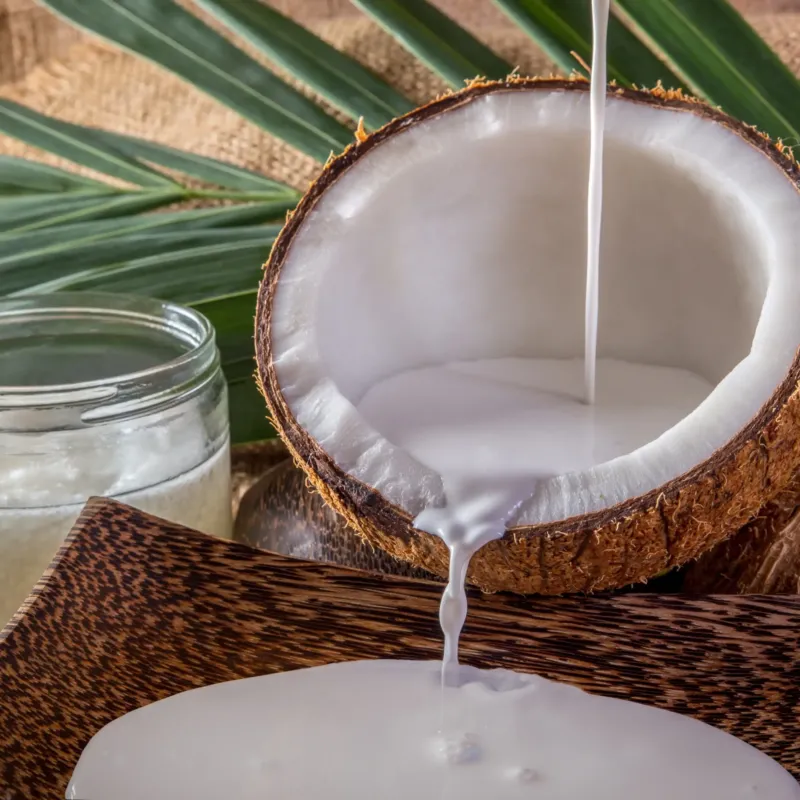 Lait de coco parfum gourmand de Grasse pour bougies fondants et diffuseurs