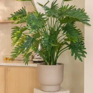 stimmungsbild Philodendron Kunstpflanze 100cm