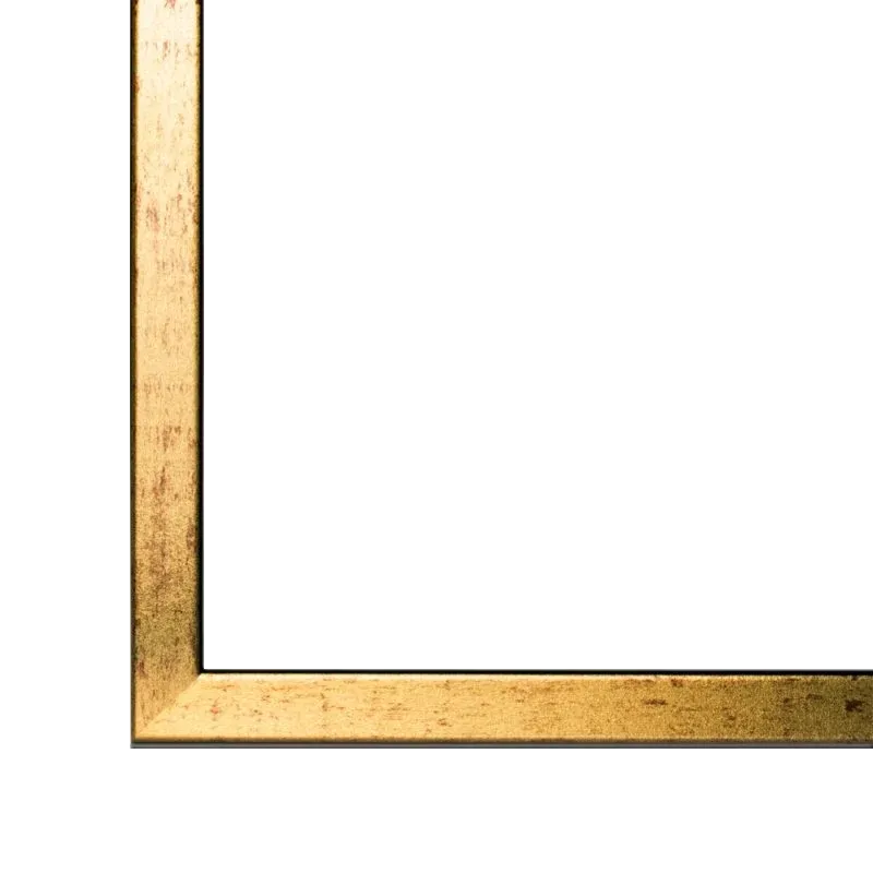 Bilderrahmen Neo Schwarz Goldglanz Antik