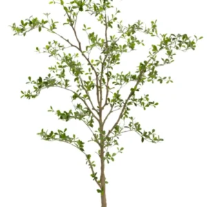 Shady Lady Künstlicher Olivenbaum 165cm
