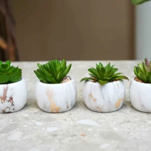 Artificial mini succulents mix in marble pot - Succulent mix set 4 - ↑ 10 cm