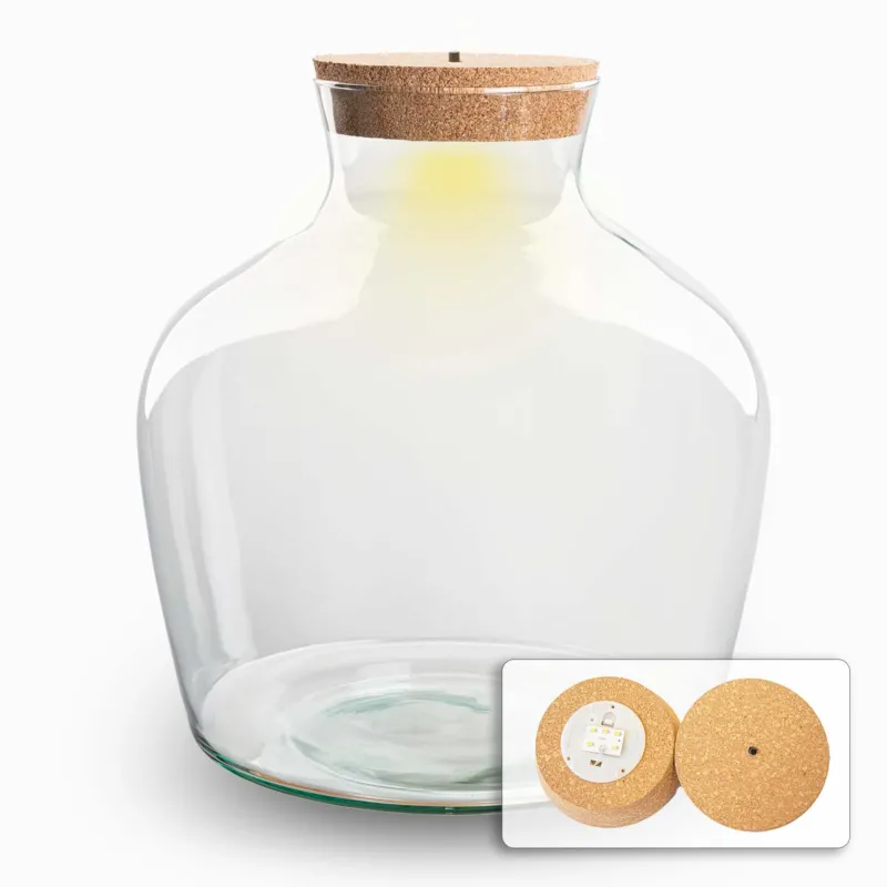 Terrarium bottle 'Fat Joe' - Incl. LED cork - Closed terrarium Ø 29 cm ↑ 30 cm