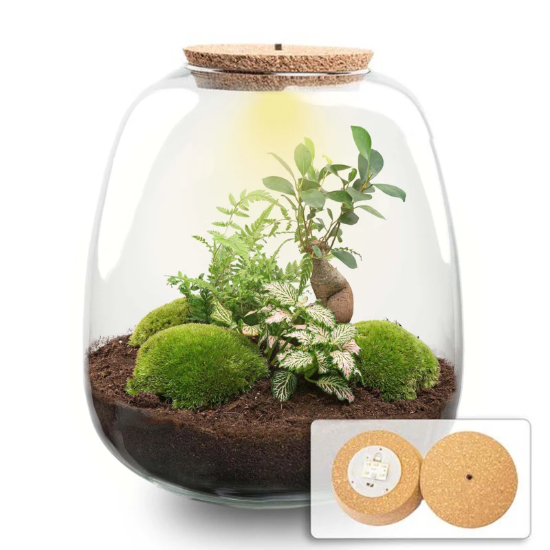 Emma - Bonsai Pink - Terrarium with light - Bottle garden DIY kit - Ø 23 cm ↑ 25 cm