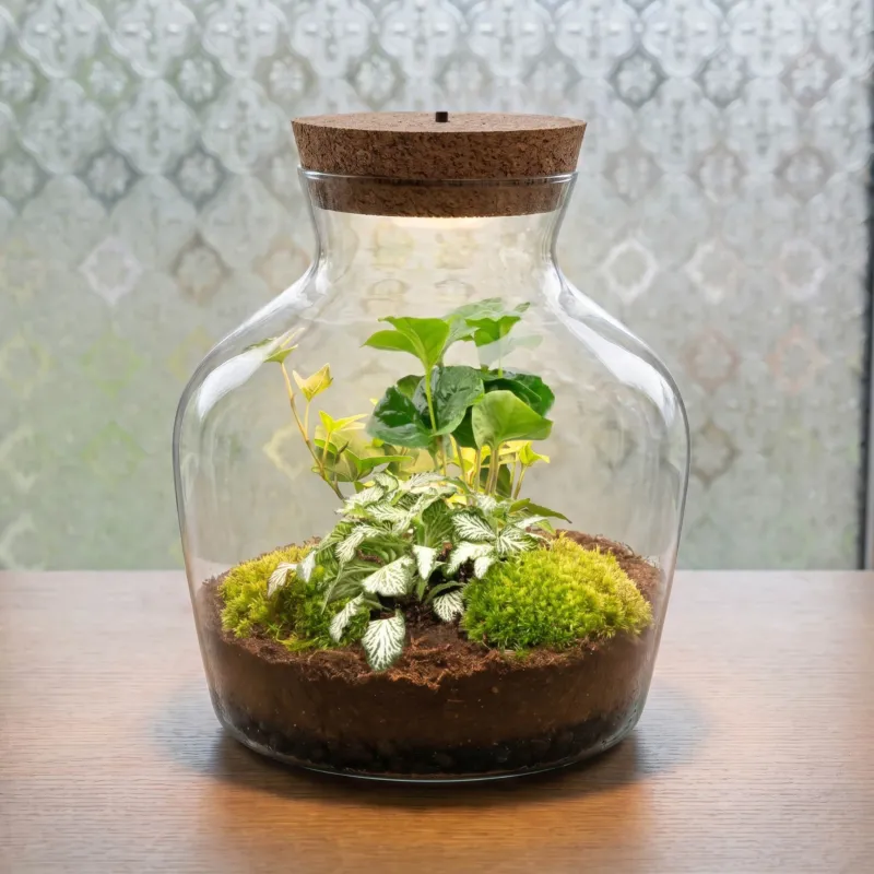 Glass jar with plants and a cork lid on a wooden surface.