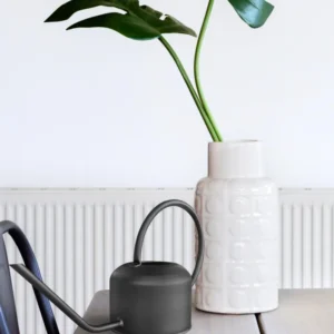 Watering Can 0.90 Lt Black - Exporgin - Global Shopping Site