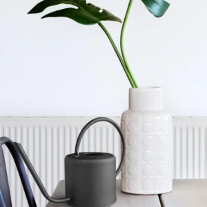 Watering Can 1.5 Lt Black SLK0017 - Exporgin - Global Shopping Site
